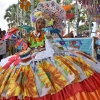 Desfile Nacional Carnaval 2018