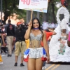Desfile Nacional Carnaval 2018