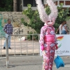 Desfile Nacional Carnaval 2018
