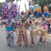 Desfile Nacional Carnaval 2018
