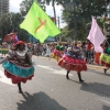 Desfile Nacional Carnaval 2018