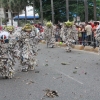 Desfile Nacional Carnaval 2018