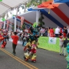 Desfile Nacional Carnaval 2017