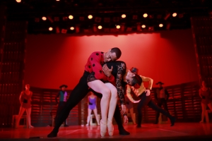 Cultura abre convocatoria para nominaciones al Premio Nacional de las Artes Esc&eacute;nicas