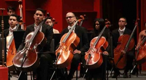 Conciertos Sinf&oacute;nica Juvenil 2017