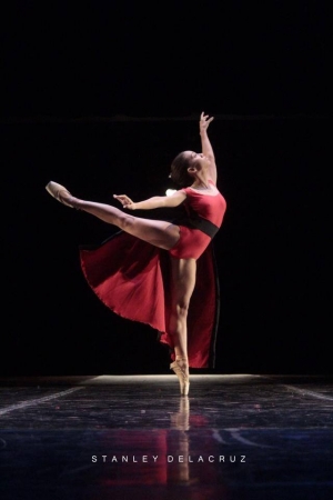 Mensaje para el D&iacute;a Internacional de la Danza