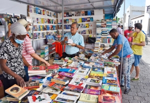 Un total de 85 nuevos libros y revistas se presentar&aacute;n durante la Feria del Libro 2022