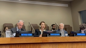 Ministra Milagros Germ&aacute;n exhorta en la ONU a priorizar impacto social de la cultura